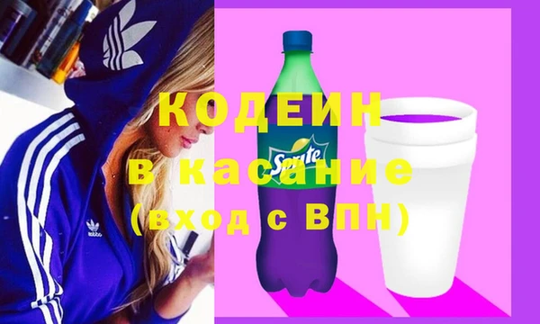 стаф Кулебаки
