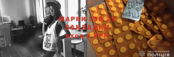 сатива Лабытнанги