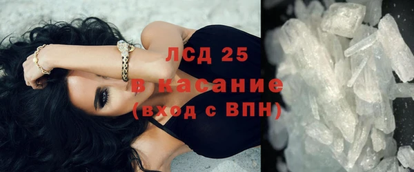 сатива Лабытнанги