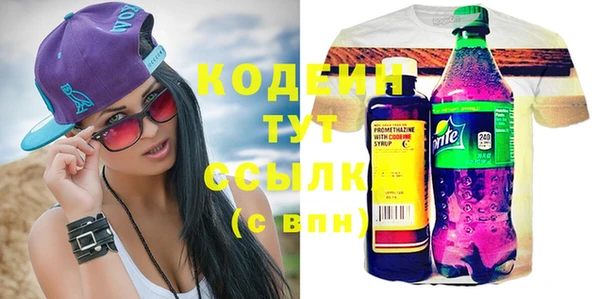 сатива Лабытнанги