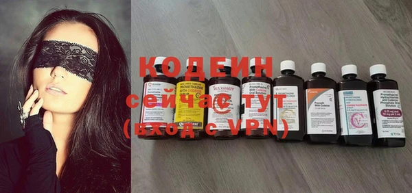 стаф Кулебаки
