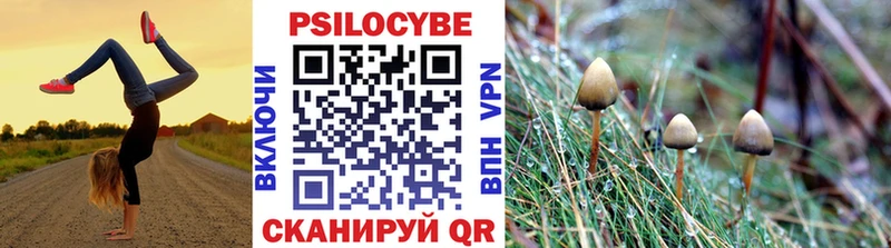 Купить закладки  Кирово-Чепецк  Галлюциногенные грибы GOLDEN TEACHER 